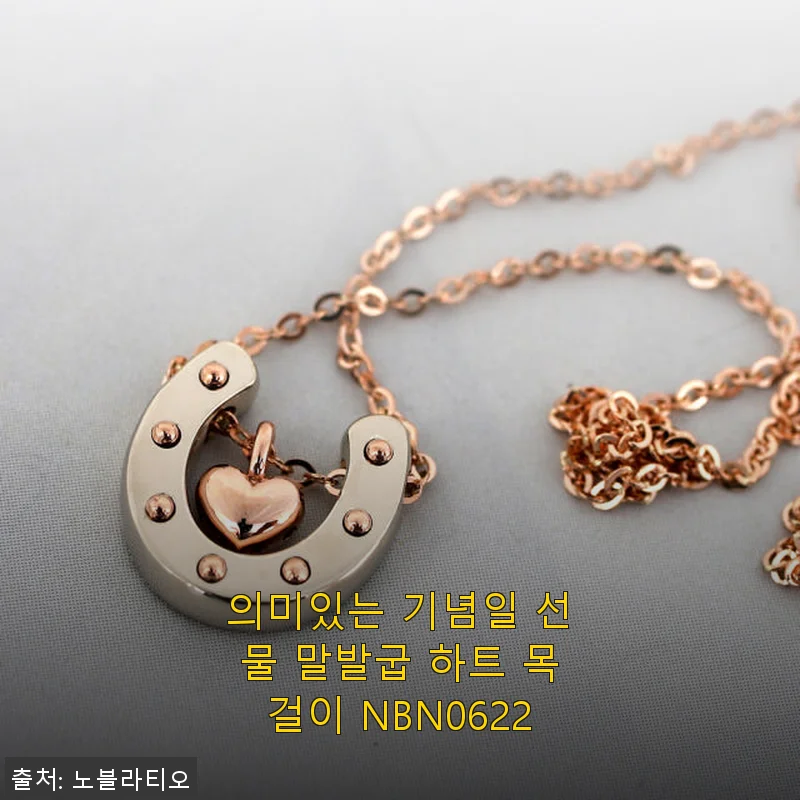 의미있는 기념일 선물, 말발굽 하트 목걸이 NBN0622 사용후기