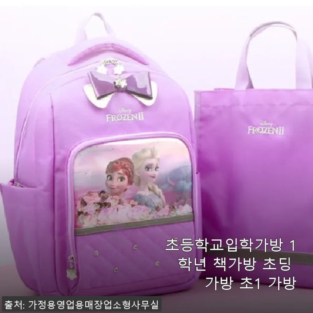 초등학교입학가방 1학년 책가방 사용후기: 가볍고 실용적인 초1 가방 추천