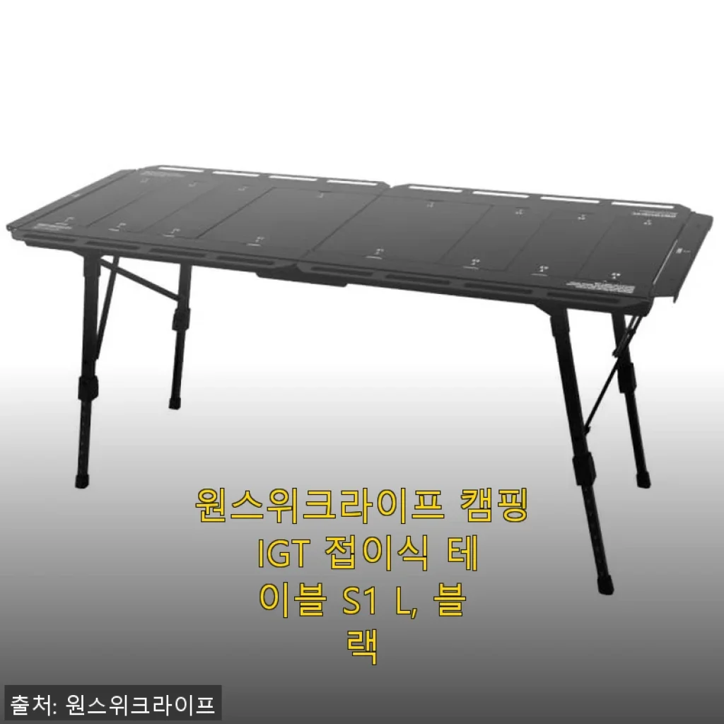 원스위크라이프 캠핑 IGT 접이식 테이블 S1 L, 블랙 사용후기