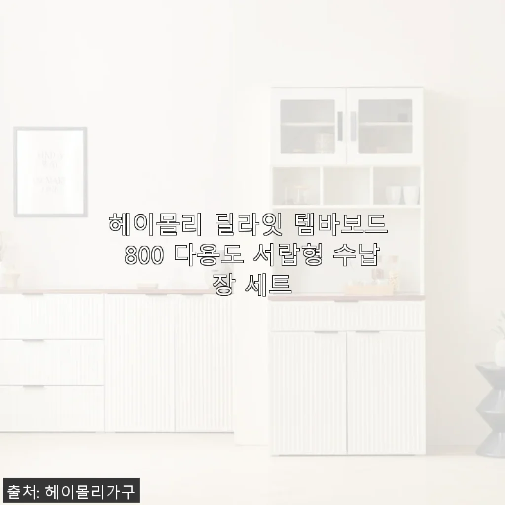 헤이몰리 딜라잇 템바보드 800 다용도 서랍형 수납장 세트 사용후기