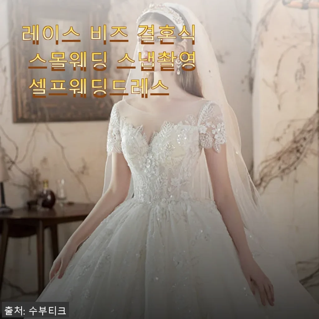 레이스 비즈 결혼식 스몰웨딩 스냅촬영 셀프웨딩드레스 사용후기