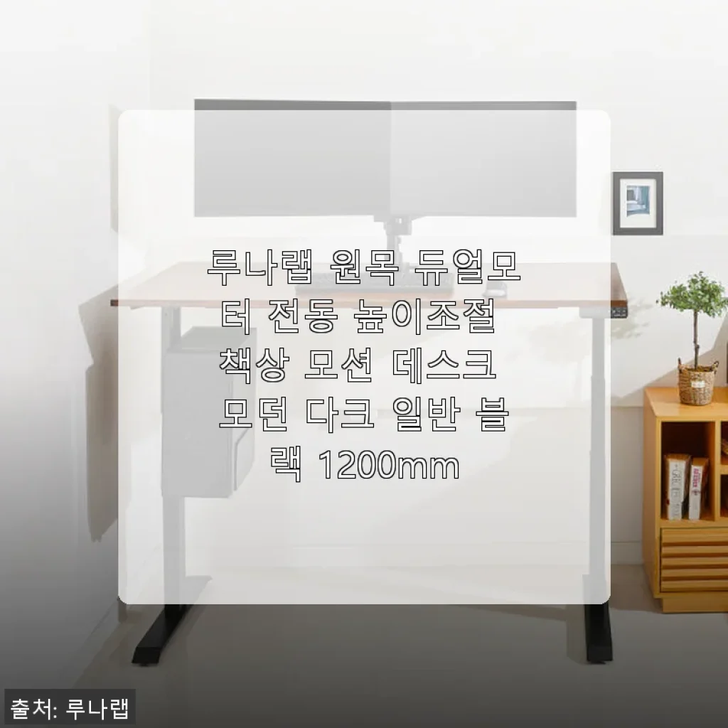 루나랩 원목 듀얼모터 전동 높이조절 책상 사용 후기: 모던한 디자인과 실용성의 만남