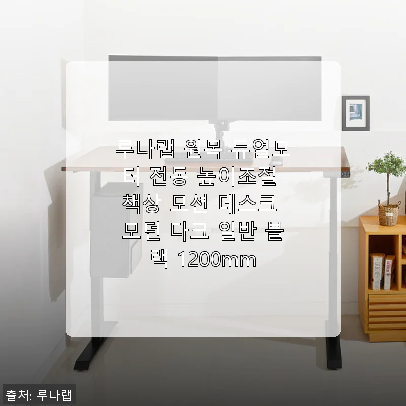 루나랩 원목 듀얼모터 전동 높이조절 책상 사용 후기: 모던한 디자인과 실용성의 만남