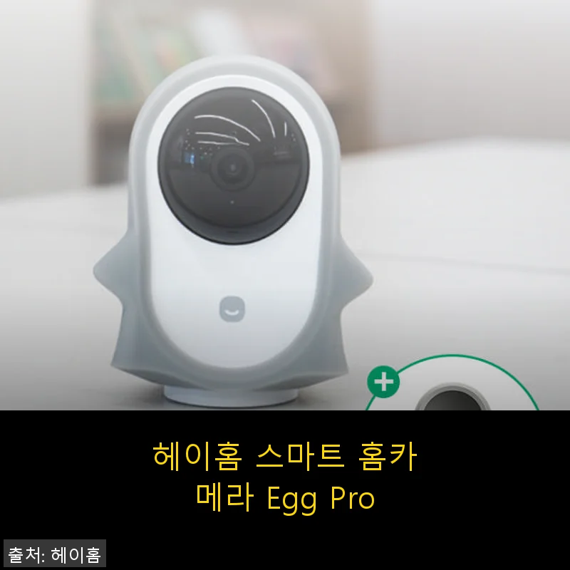 헤이홈 스마트 홈카메라 Egg Pro 사용후기, 직접 써보니 만족스러운 선택이었어요