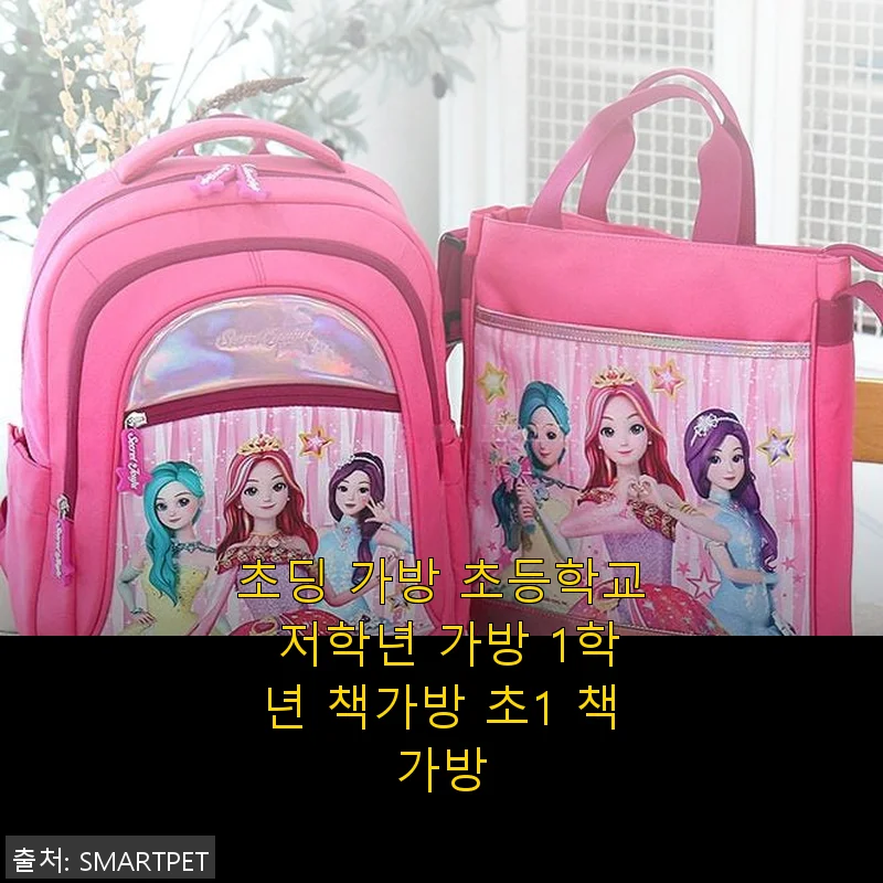 초딩 가방 초등학교 저학년 가방 1학년 책가방 사용후기