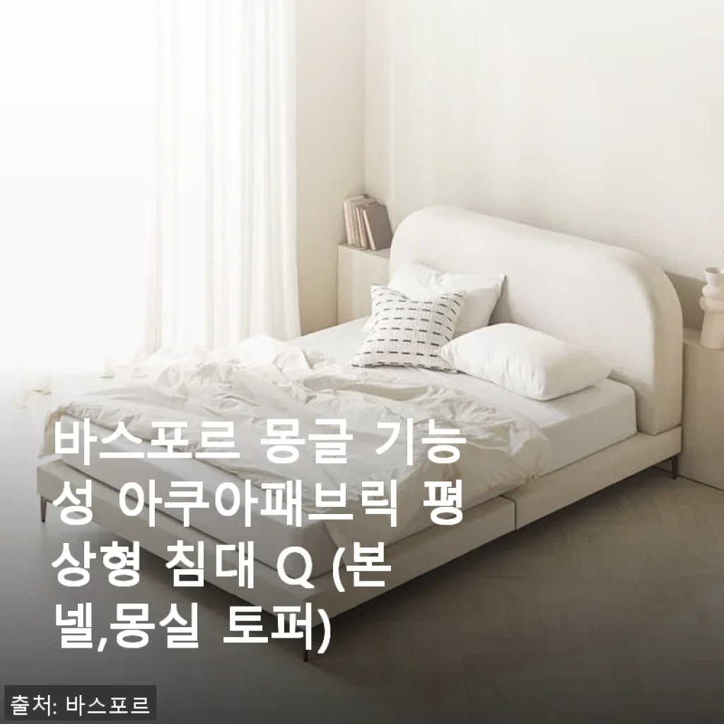 바스포르 몽글 기능성 아쿠아패브릭 평상형 침대 Q 사용후기: 직접 써보니 만족스러운 편안함과 실용성