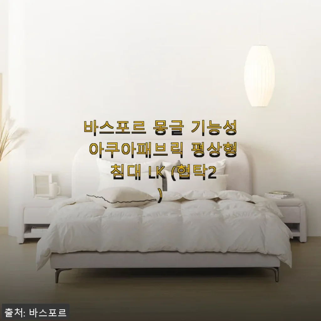 바스포르 몽글 기능성 아쿠아패브릭 평상형 침대 LK 사용 후기