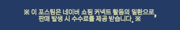 브라이튼 디즈니캐리어 하이포 52+73cm세트 사용후기 11 이해관계문구