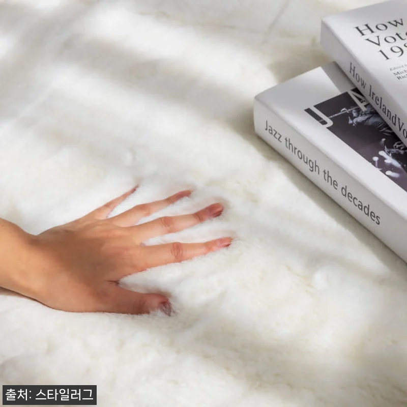 먼지없는 워셔블 장모 온감 러그 사용 관련 이미지 1