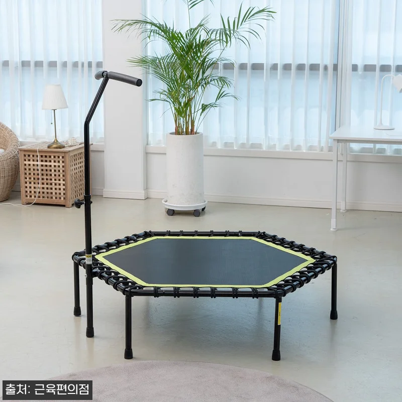 LEEFITNESS 손잡이 실내 트램 관련 이미지 1