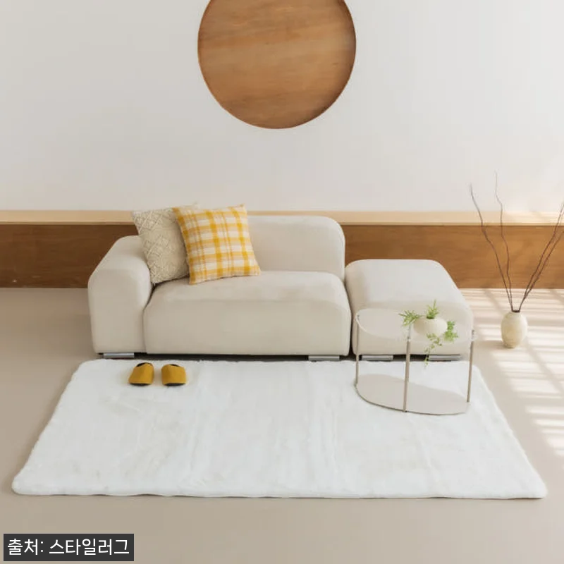 먼지없는 워셔블 장모 온감 러그 사용 관련 이미지 2