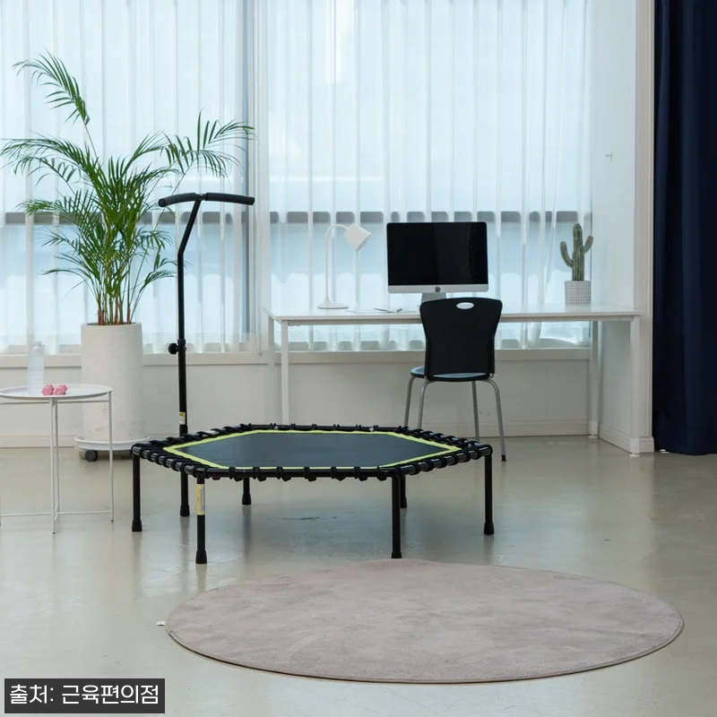 LEEFITNESS 손잡이 실내 트램 관련 이미지 2