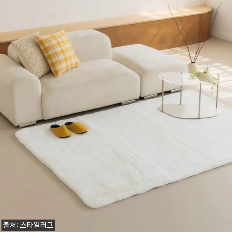 먼지없는 워셔블 장모 온감 러그 사용 관련 이미지 3