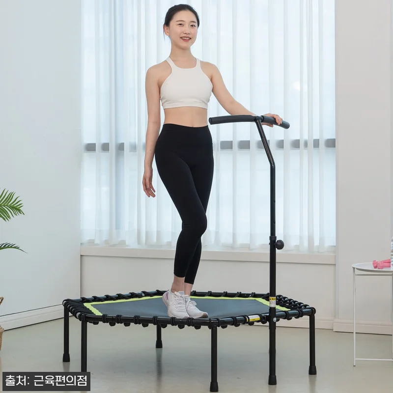 LEEFITNESS 손잡이 실내 트램 관련 이미지 3