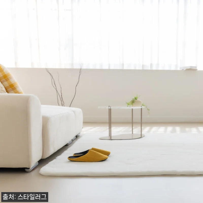 먼지없는 워셔블 장모 온감 러그 사용 관련 이미지 4