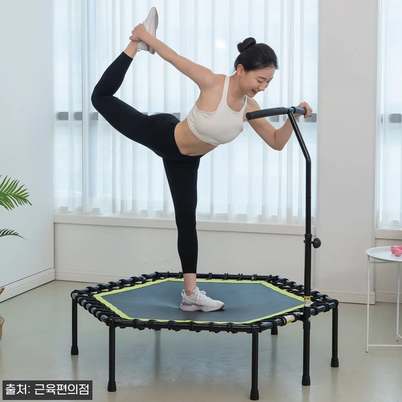 LEEFITNESS 손잡이 실내 트램 관련 이미지 4