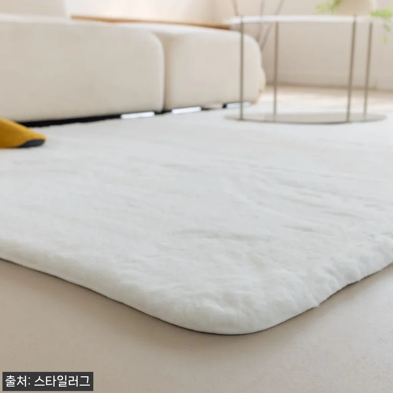 먼지없는 워셔블 장모 온감 러그 사용 관련 이미지 5