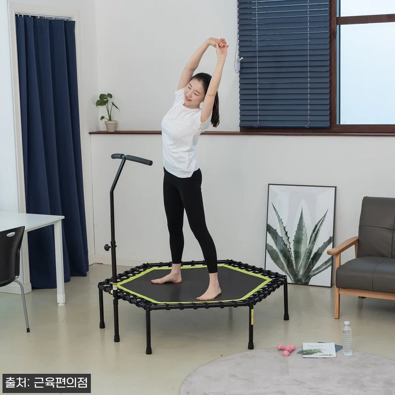 LEEFITNESS 손잡이 실내 트램 관련 이미지 5