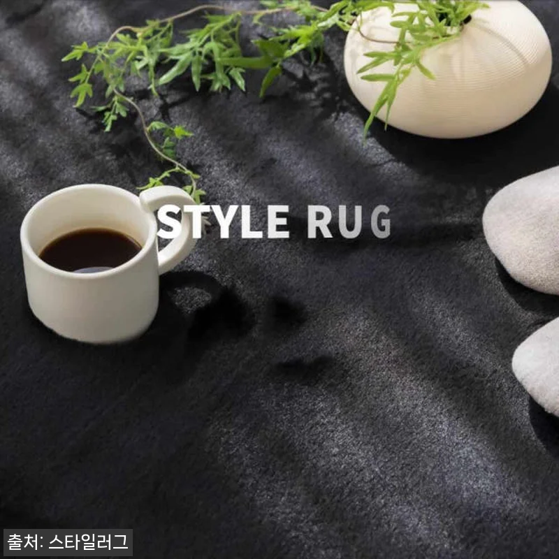 먼지없는 워셔블 장모 온감 러그 사용 관련 이미지 10