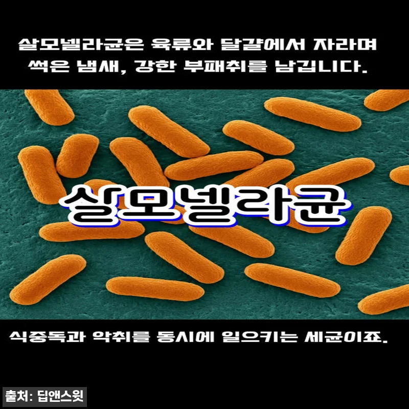 [대용량] 피톤치드 탈취제 새집증후군 관련 이미지 10