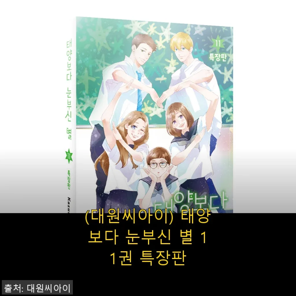 대원씨아이 태양보다 눈부신 별 11권 특장판 사용 후기