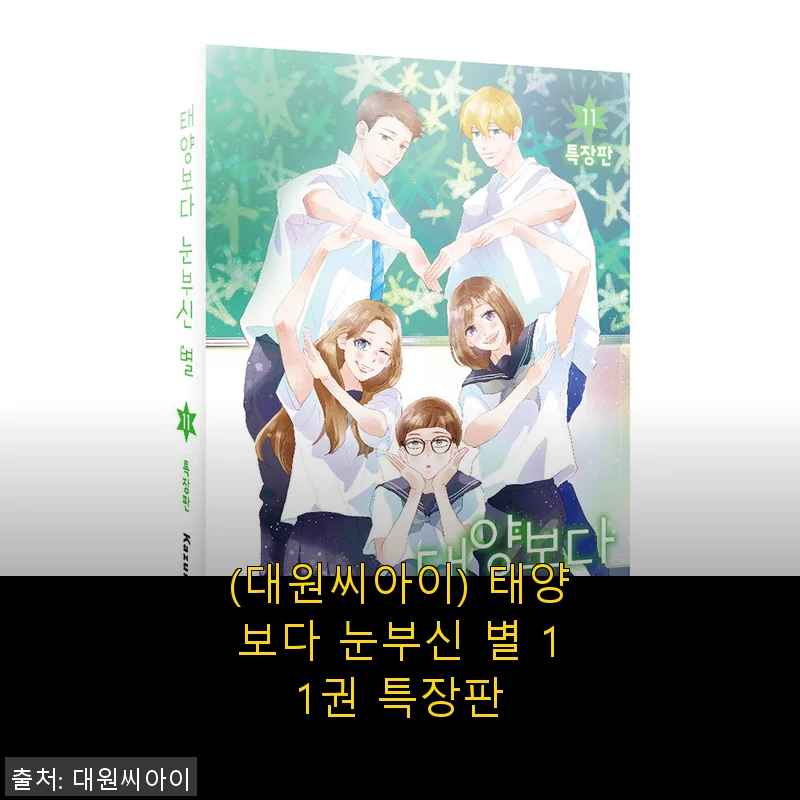 대원씨아이 태양보다 눈부신 별 11권 특장판 사용 후기