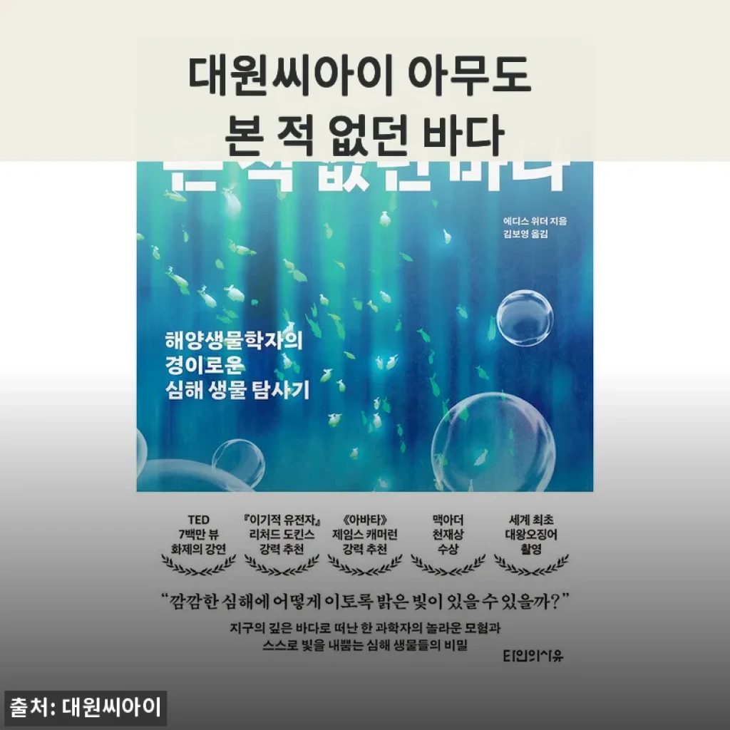 대원씨아이 아무도 본 적 없던 바다, 직접 사용해본 솔직한 후기