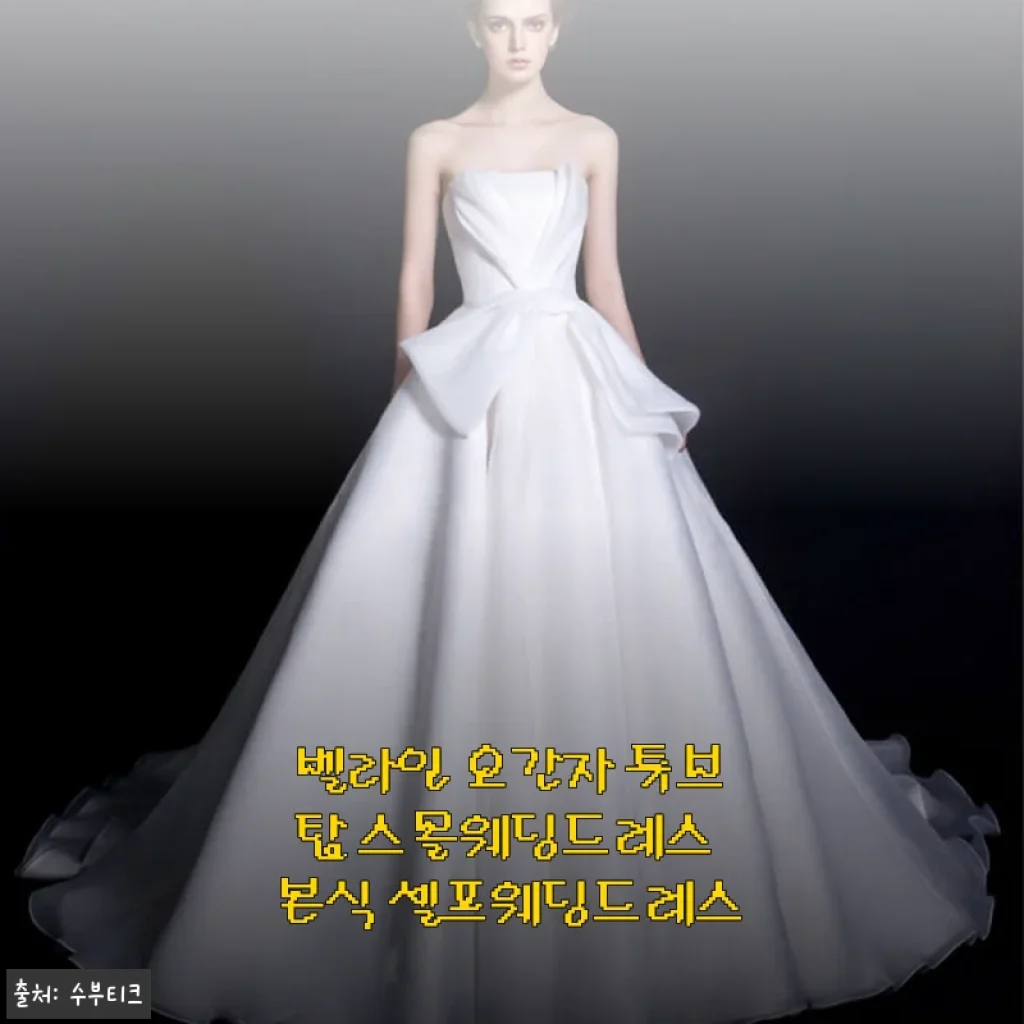 벨라인 오간자 튜브탑 스몰웨딩드레스 사용후기 – 셀프웨딩 준비에 딱 맞는 선택