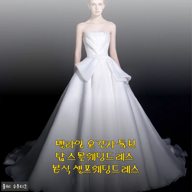 벨라인 오간자 튜브탑 스몰웨딩드레스 사용후기 – 셀프웨딩 준비에 딱 맞는 선택