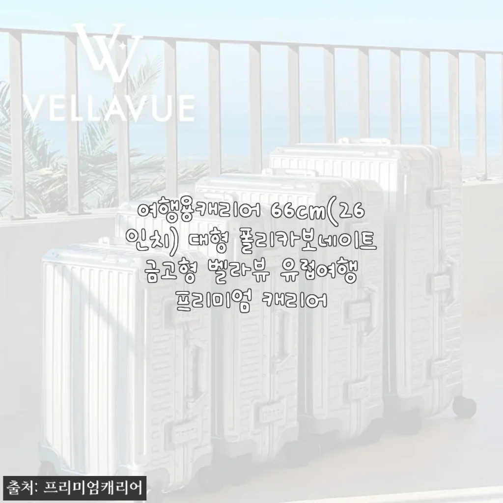 여행용캐리어 66cm 벨라뷰 프리미엄 캐리어 사용후기: 튼튼함과 세련됨을 모두 만족시키는 선택