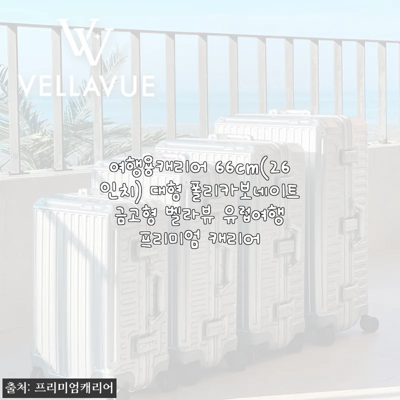 여행용캐리어 66cm 벨라뷰 프리미엄 캐리어 사용후기: 튼튼함과 세련됨을 모두 만족시키는 선택