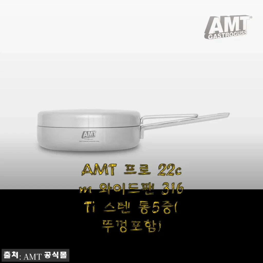 AMT 프로 22cm 와이드팬 316Ti 스텐 통5중 사용후기