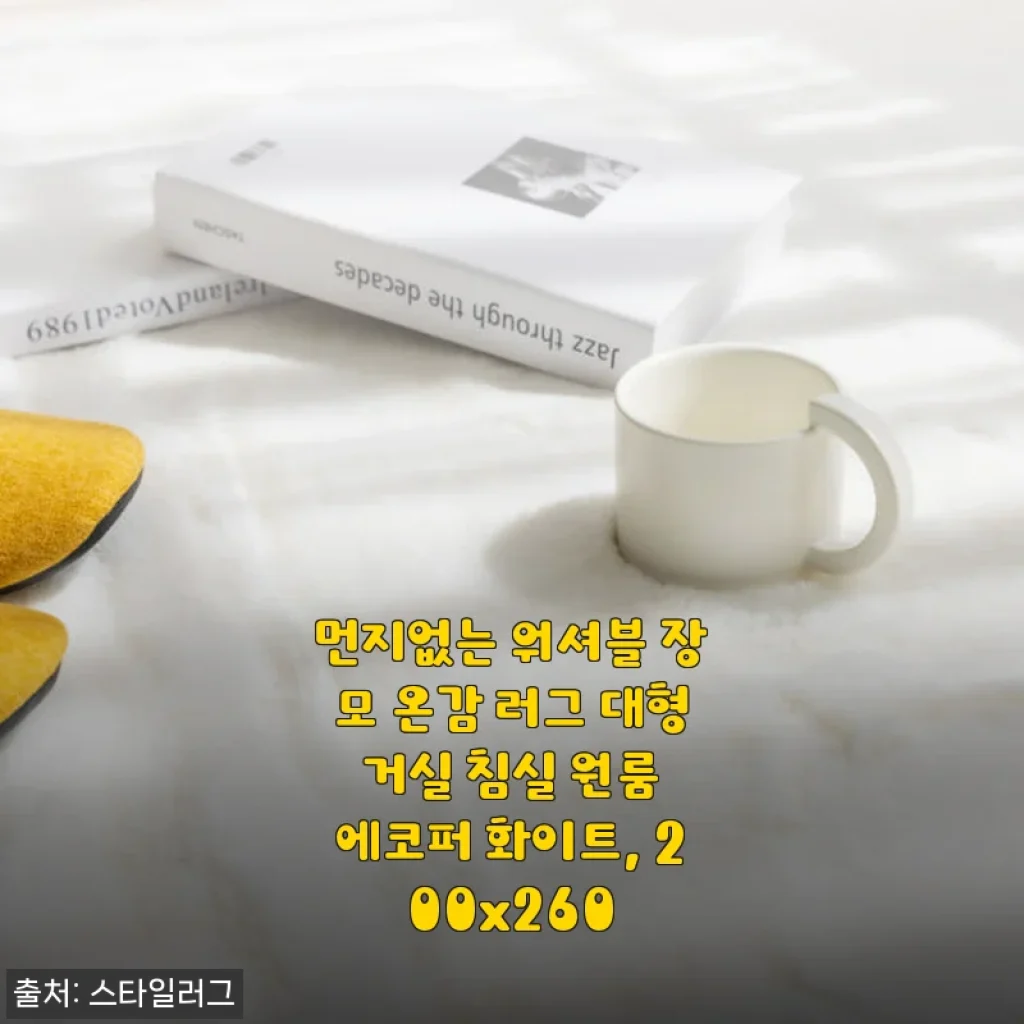 먼지없는 워셔블 장모 온감 러그 사용후기 - 집안 분위기와 관리 모두 만족한 선택