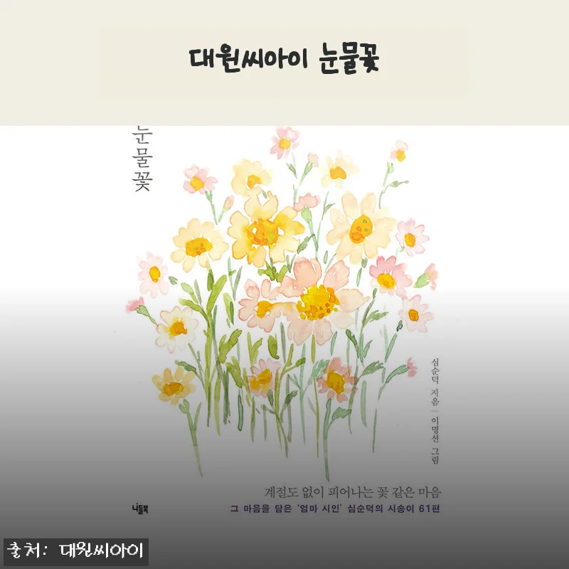 대원씨아이 눈물꽃, 직접 사용해본 감성과 품질 후기