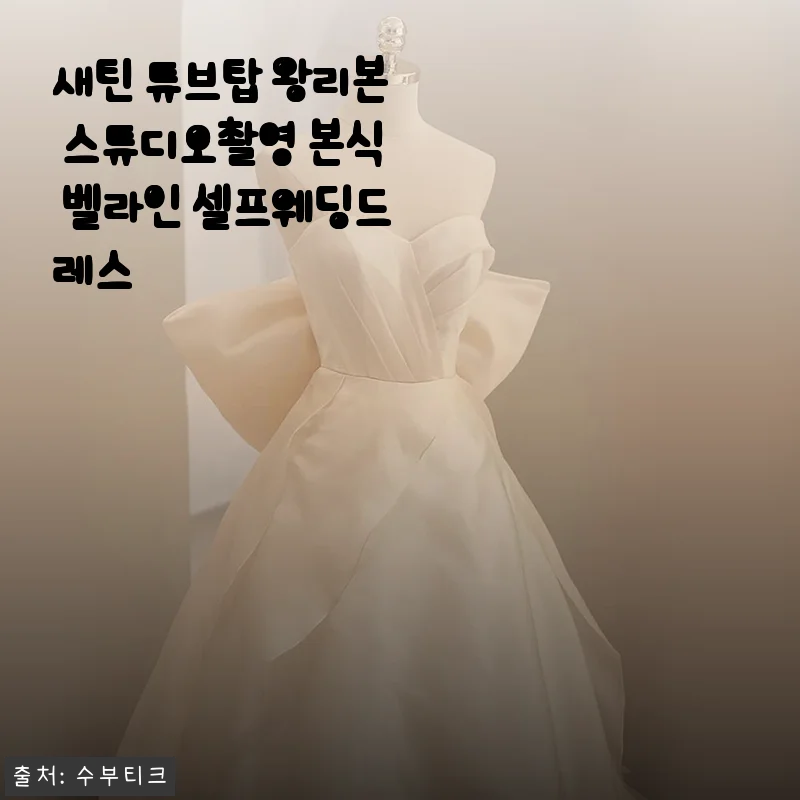 새틴 튜브탑 왕리본 스튜디오촬영 본식 벨라인 셀프웨딩드레스 사용후기