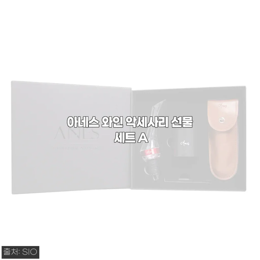 아네스 와인 악세사리 선물 세트 A 사용 후기: 와인 애호가의 만족스러운 선택