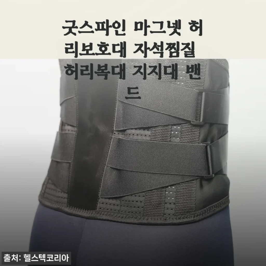 굿스파인 마그넷 허리보호대 자석찜질 허리복대 지지대 밴드 사용후기