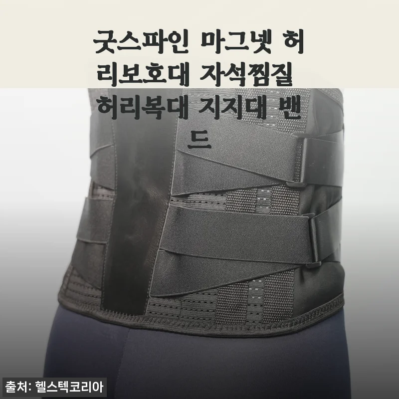 굿스파인 마그넷 허리보호대 자석찜질 허리복대 지지대 밴드 사용후기