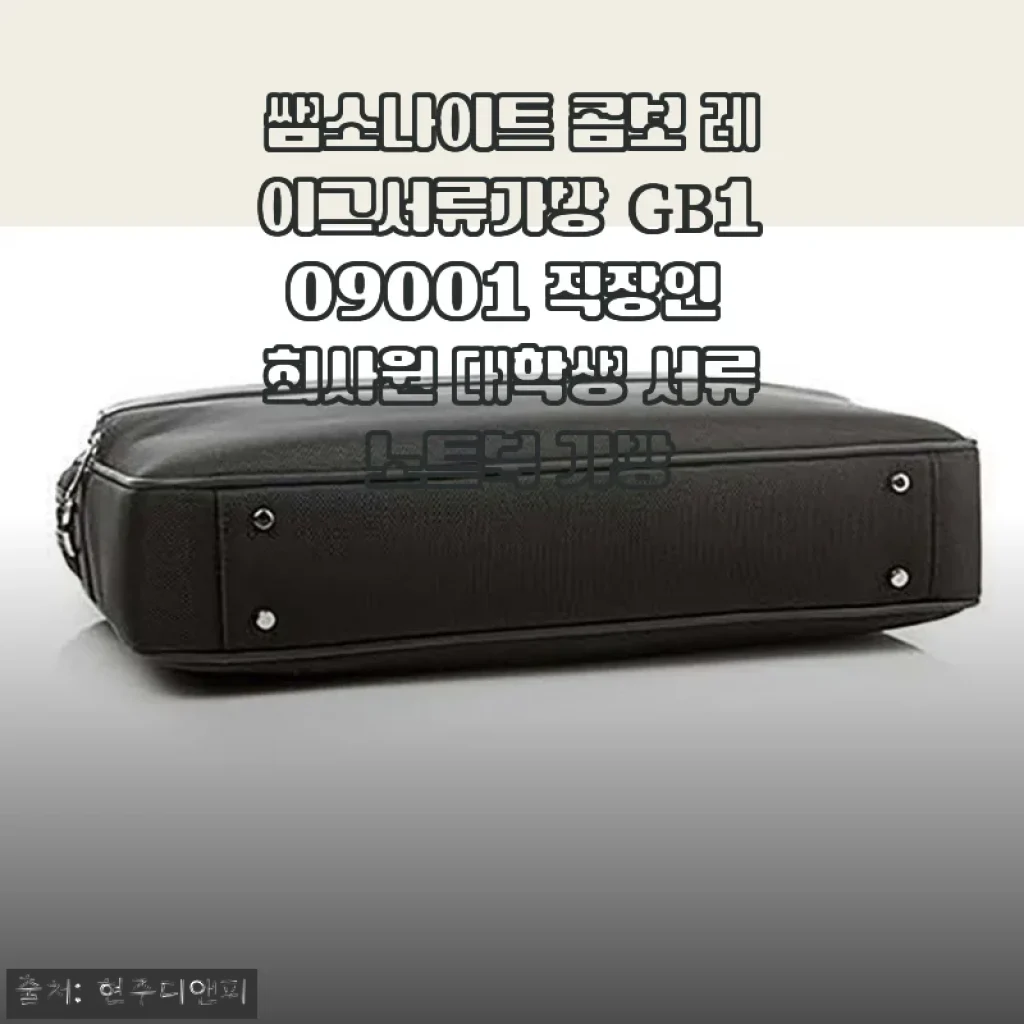 쌤소나이트 콤보 레이그 서류가방 GB109001 사용후기 및 제품소개