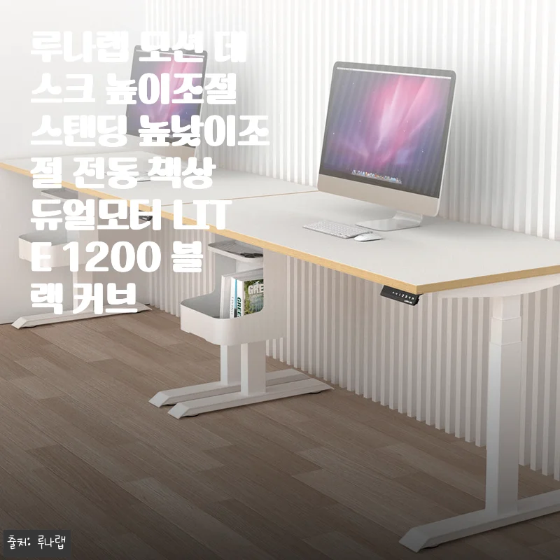루나랩 모션 데스크 높이조절 스탠딩 전동 책상 듀얼모터 LITE 1200 블랙 커브 사용 후기