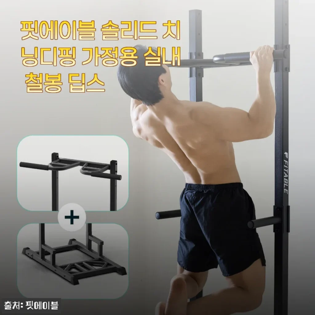 핏에이블 솔리드 치닝디핑 가정용 실내 철봉 딥스 사용후기