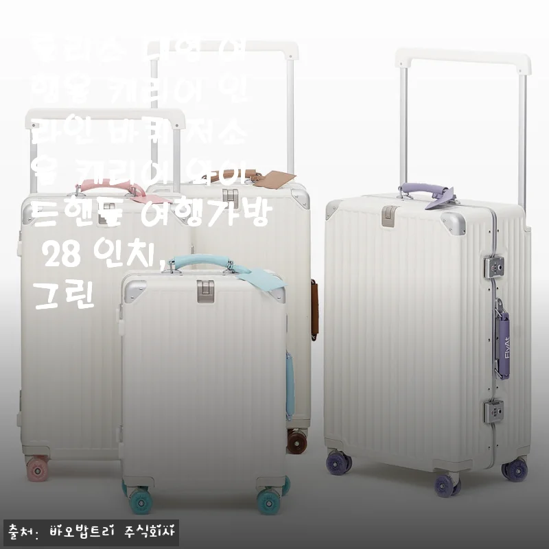 롤리스 대형 여행용 캐리어 28인치 그린 사용 후기