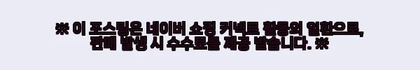 시마노 21 레이크 마스터 빙어 전동릴 CT-ET 사용후기 및 제품소개
