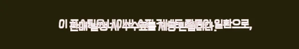 가보건강침대 돌침대 옥침대 원형 뜸들 찜질 효과 금하옥 배뜸돌 5 이해관계문구