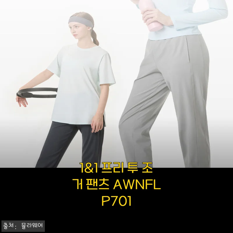 1&1 프리 투 조거 팬츠 AWNFLP701 후기, 편한 착용감에 74% 할인까지 챙겼어요