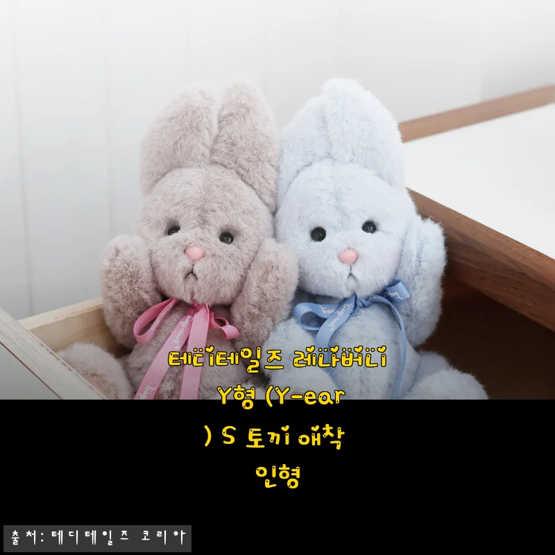 나만 알고 싶은 힐링템 찾았다… 테디테일즈 레나버니 Y형 S, 30대 직장인의 애착 인형이 된 사연