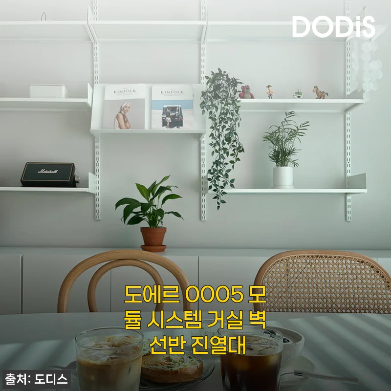거실 인테리어 살리는 도에르 0005 모듈 시스템 벽 선반, 셀프 설치부터 수납까지 2주 사용기