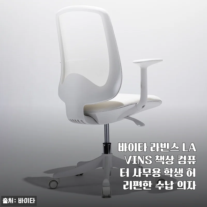 바이타 라빈스 LAVINS 수납 의자 사용 후기, 허리 편한 책상 의자로 재택근무 생산성이 확 올랐어요