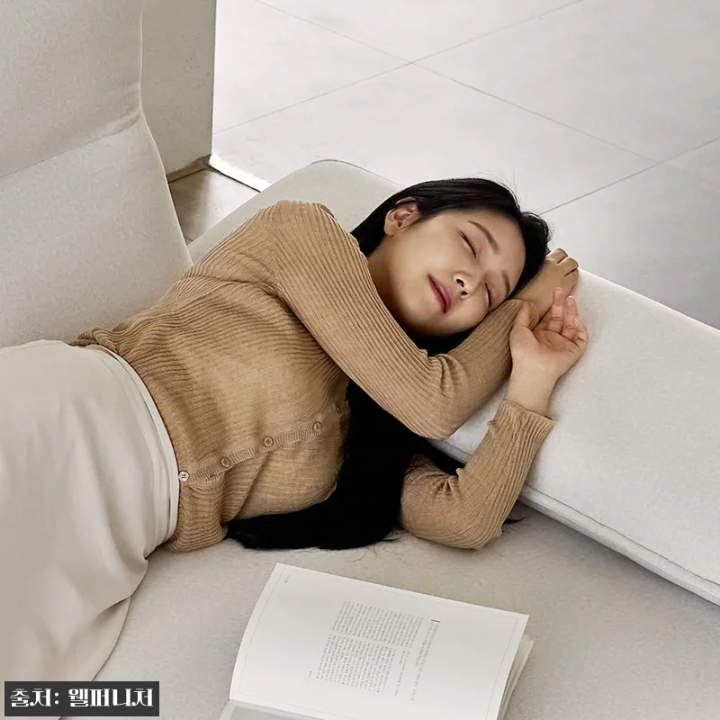 빅토리아 패브릭 기능성 이지클린 스윙 관련 이미지 6