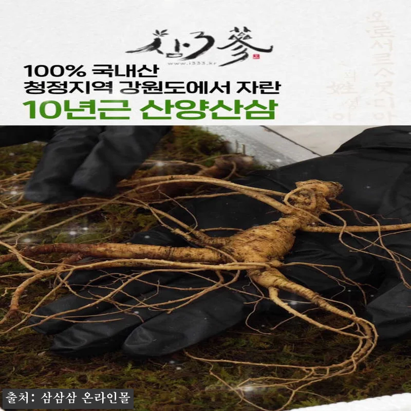 10년근 산양산삼 6뿌리, 품질검사 관련 이미지 2